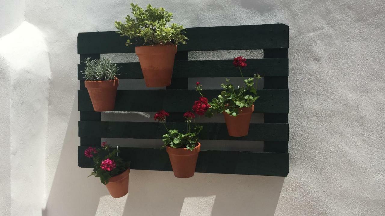 Pinheiro De Monsaraz-Casas Da Colmeia T2 Reguengos de Monsaraz Bagian luar foto